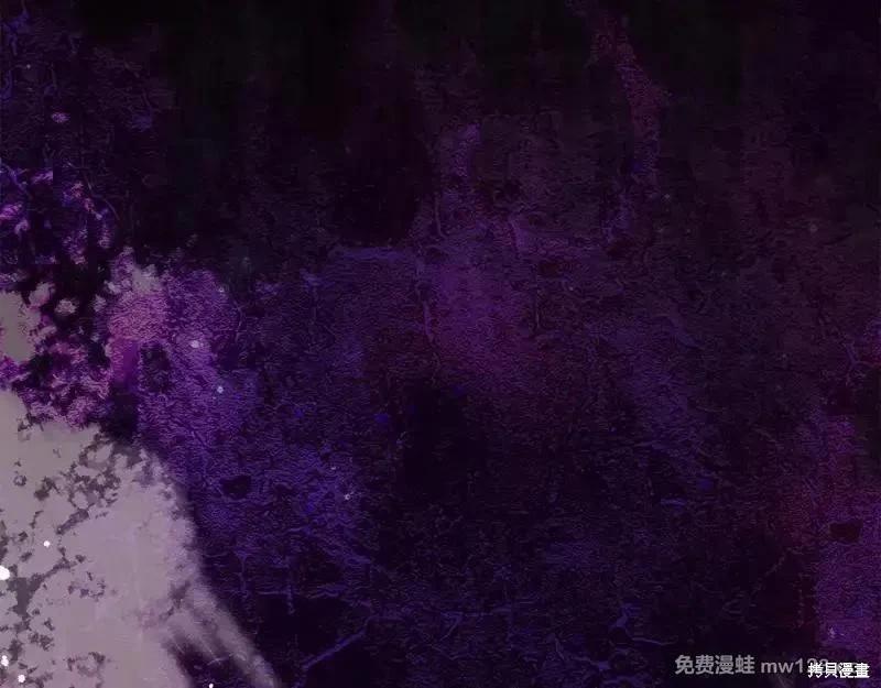 第 225 页