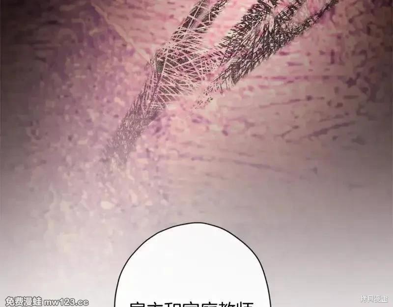 第 141 页