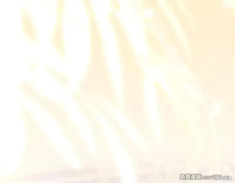 第 161 页