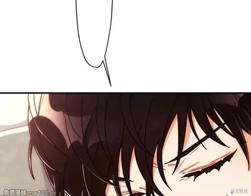 第 113 页