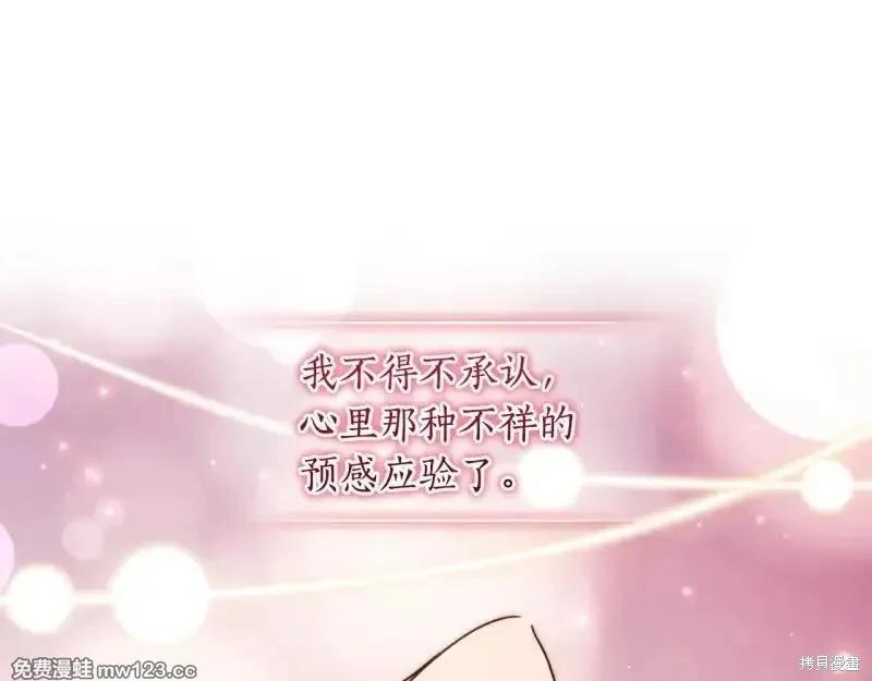 第 213 页