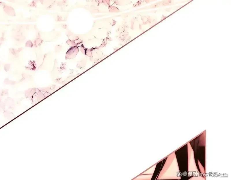 第 217 页