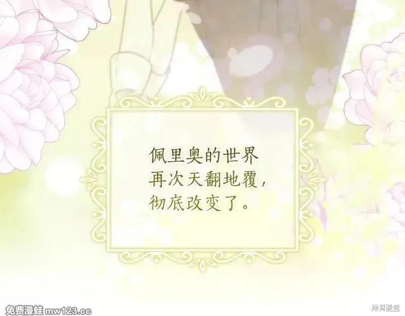 第 231 页