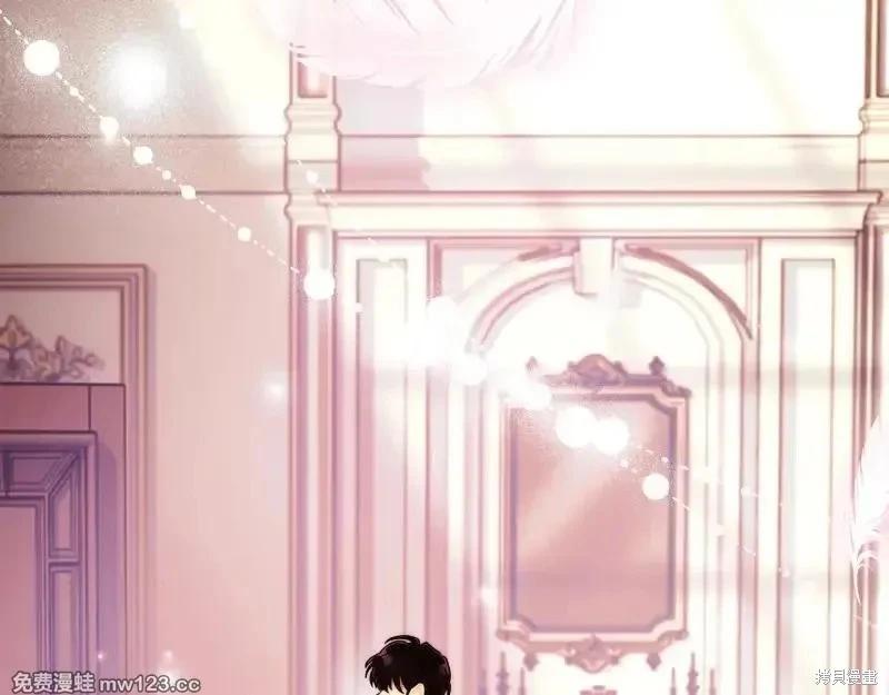 第 233 页
