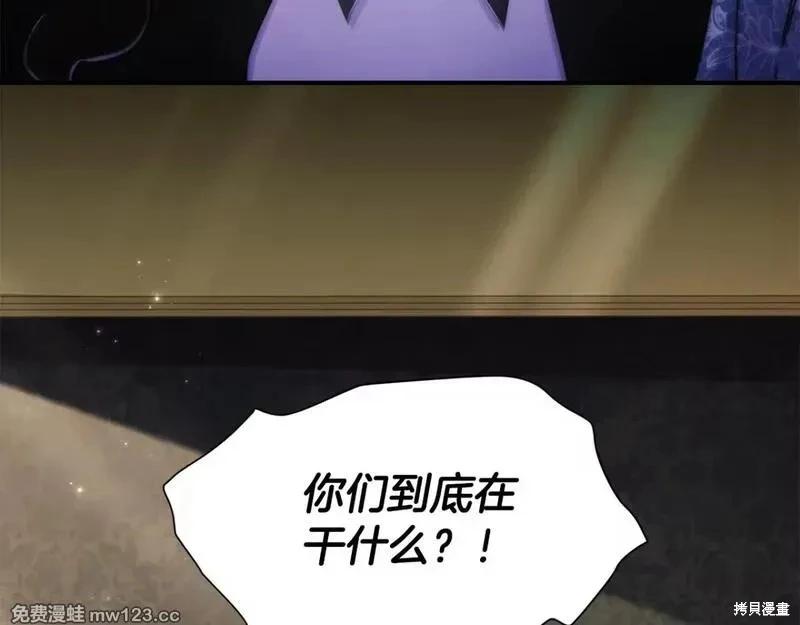 第 113 页