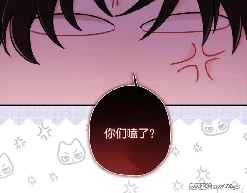 第 126 页