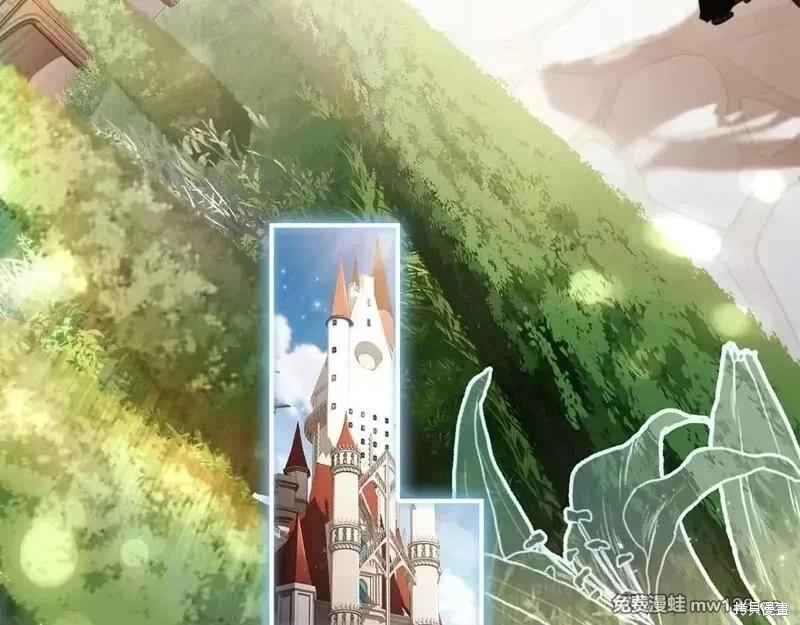 第 146 页