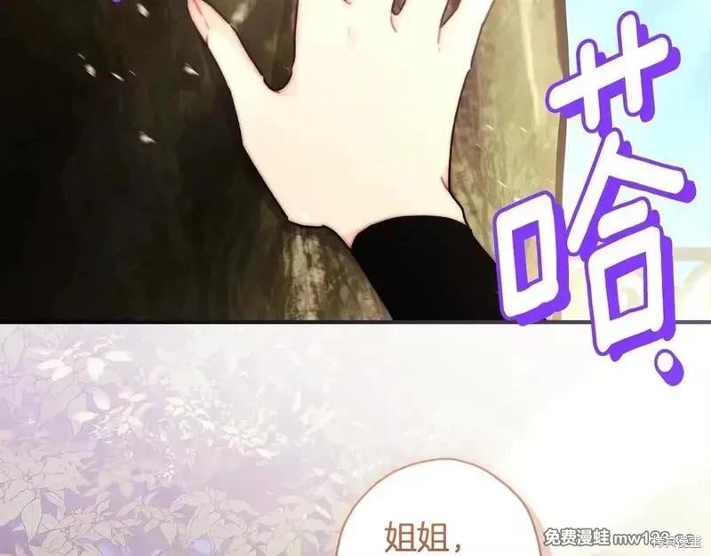 第 144 页