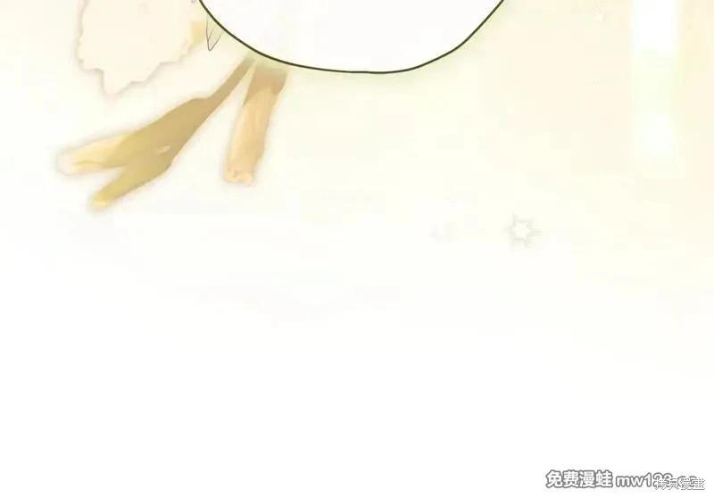 第 125 页