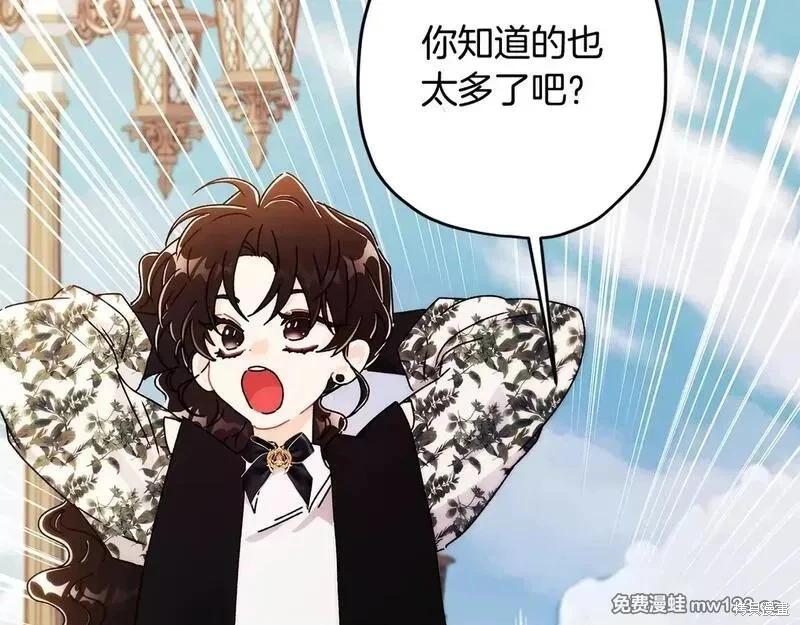 第 146 页