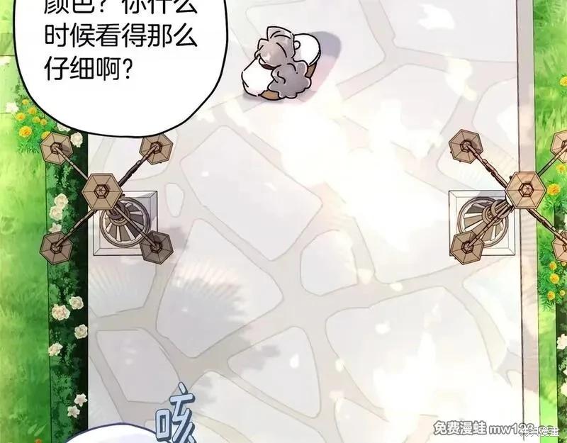 第 161 页