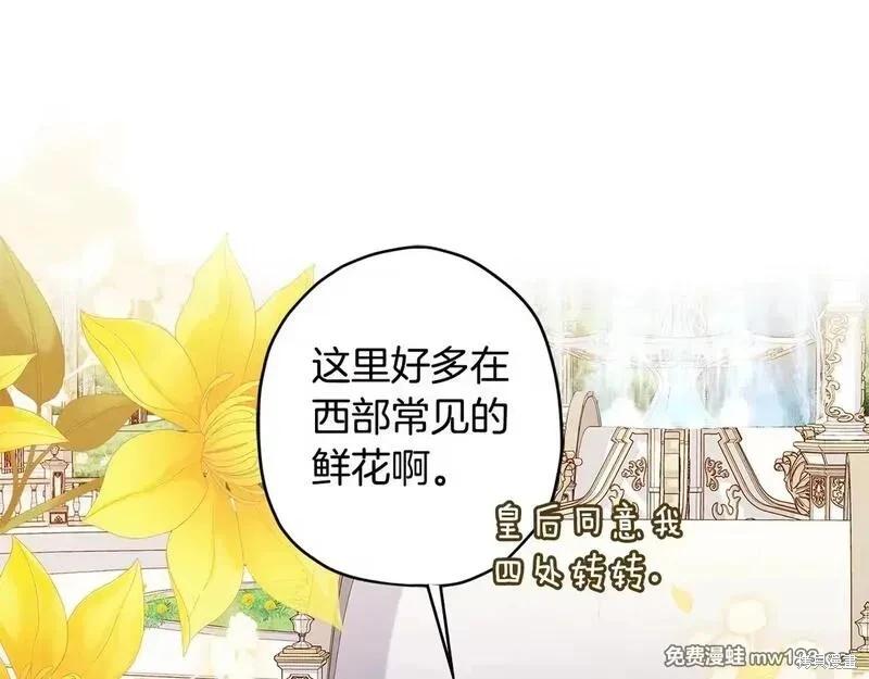第 84 页