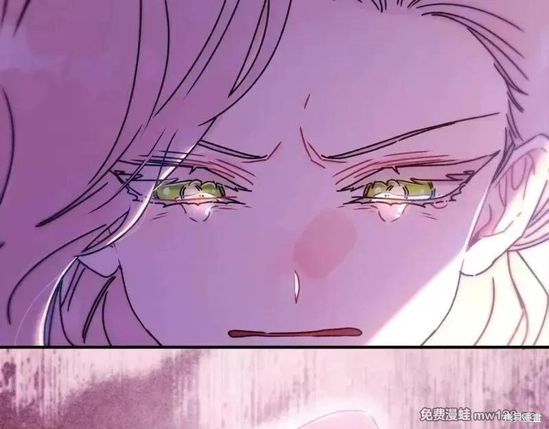 第 111 页