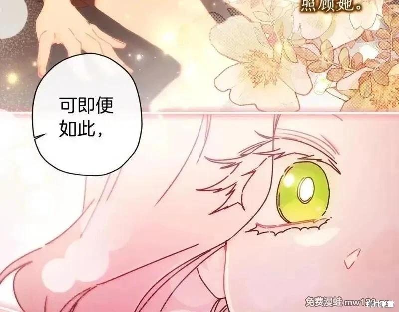 第 203 页
