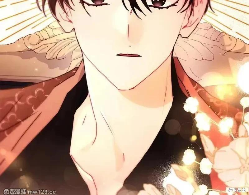 第 206 页