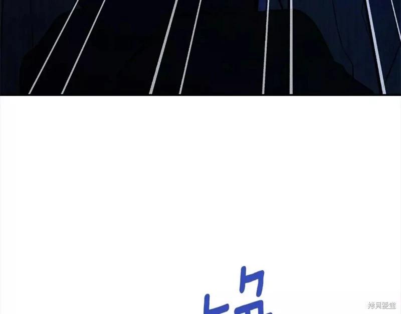 第 113 页