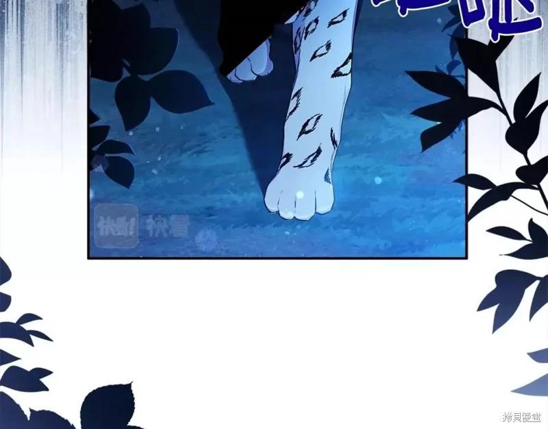 第 141 页