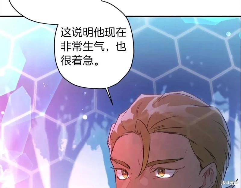 第 102 页