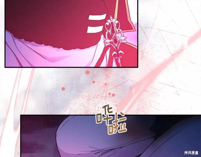 第 116 页