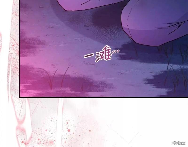 第 117 页