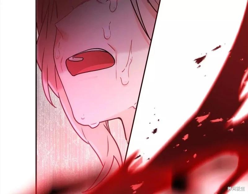 第 95 页