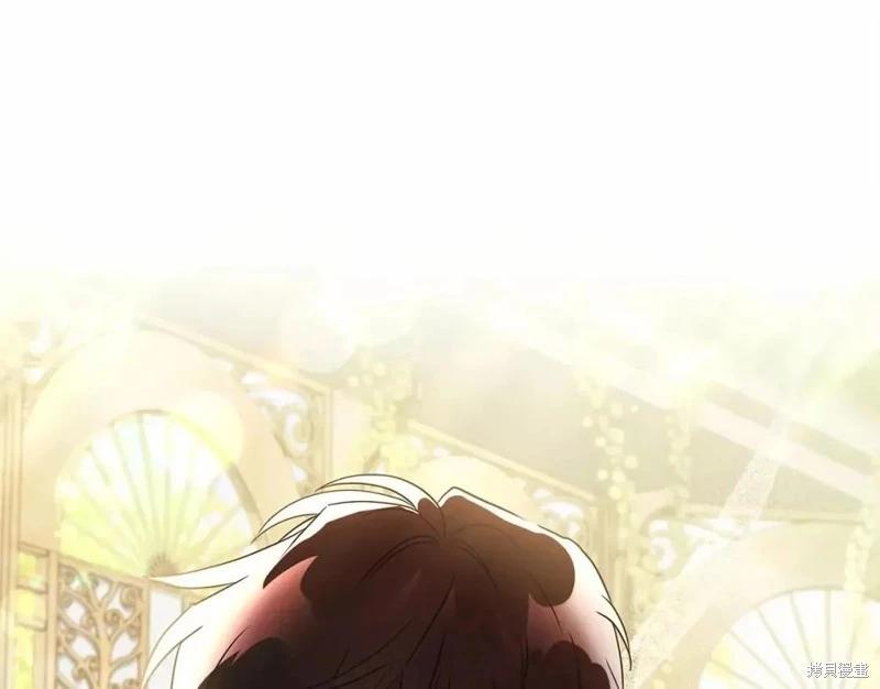 第 113 页