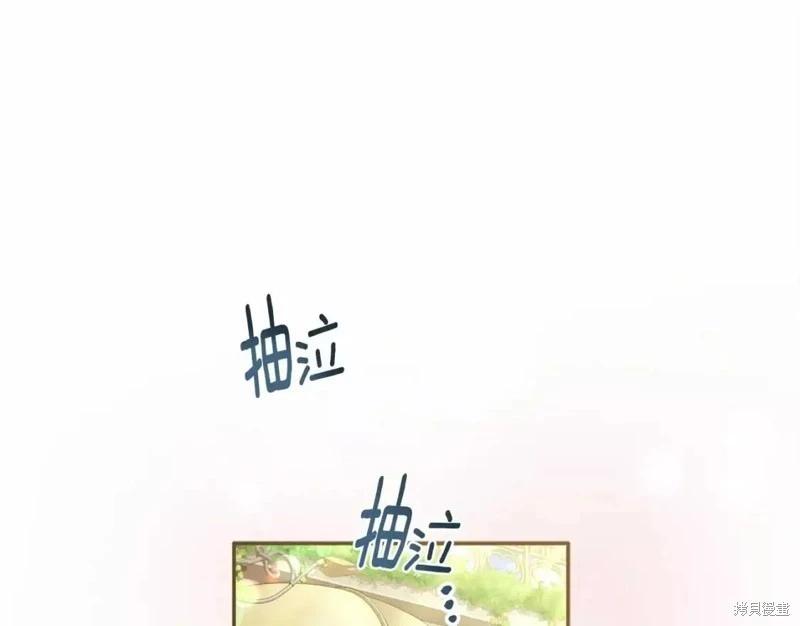 第 127 页