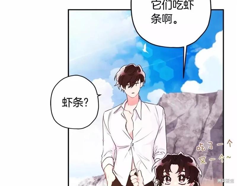 第 135 页