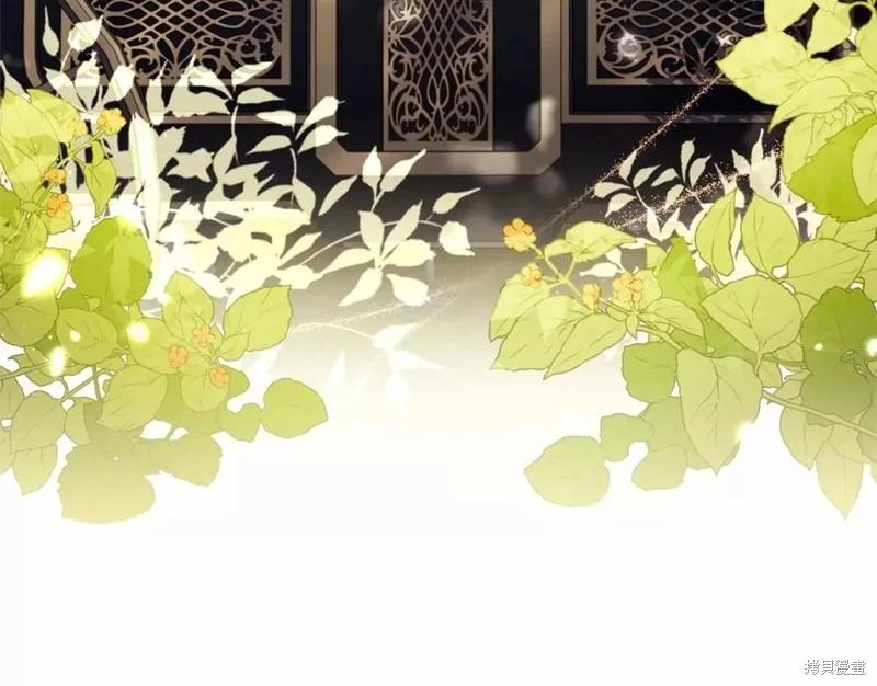 第 116 页
