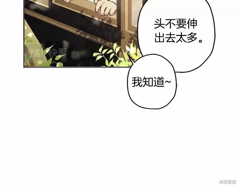 第 119 页