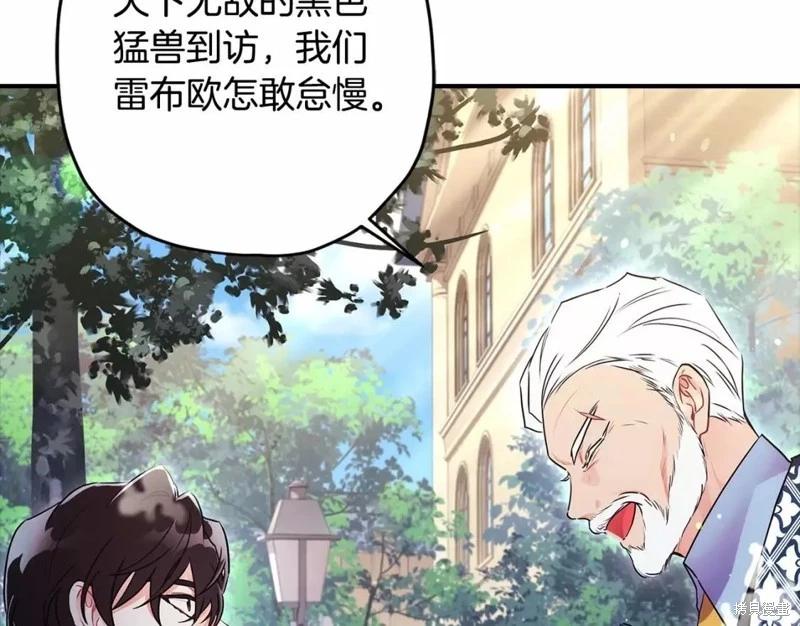 第 146 页