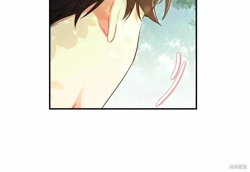第 113 页