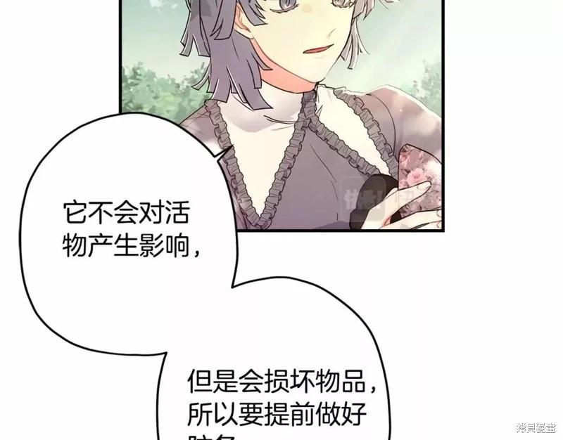 第 85 页