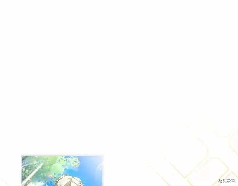 第 146 页