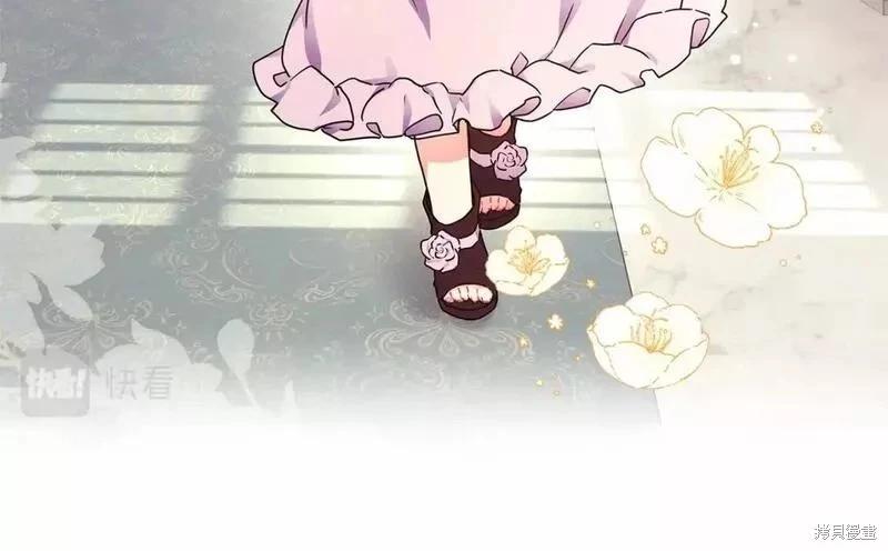 第 113 页
