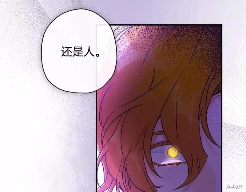 第 102 页