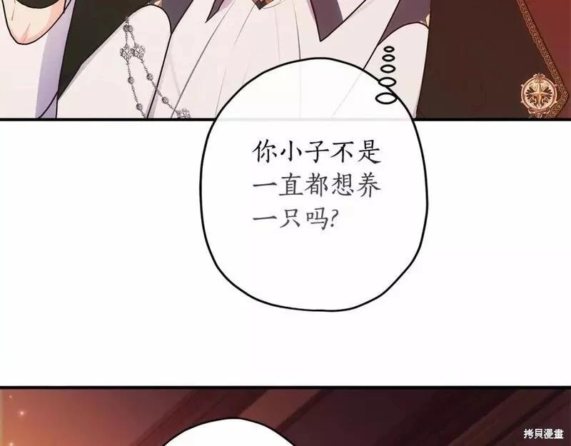 第 106 页
