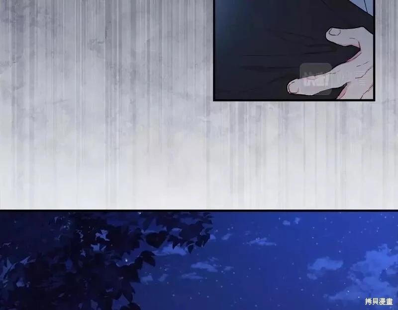 第 121 页