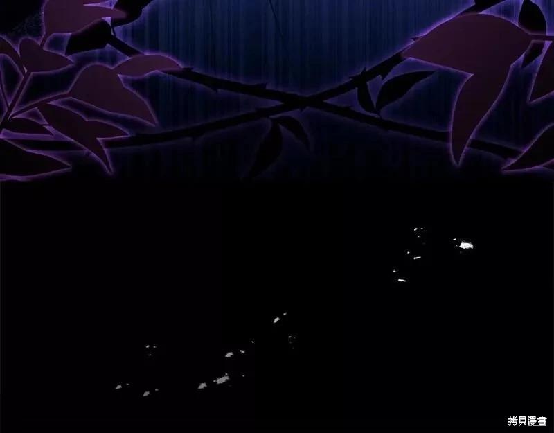 第 146 页