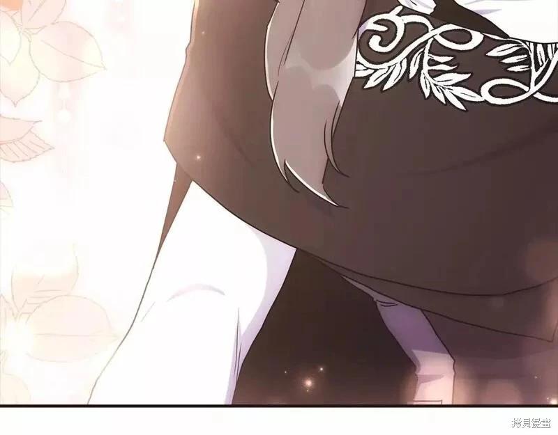 第 116 页