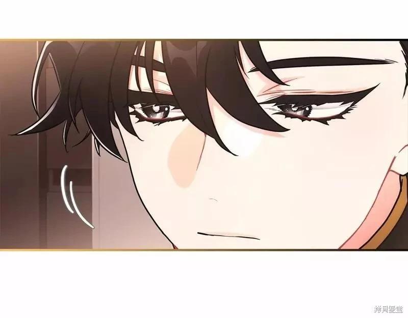 第 113 页