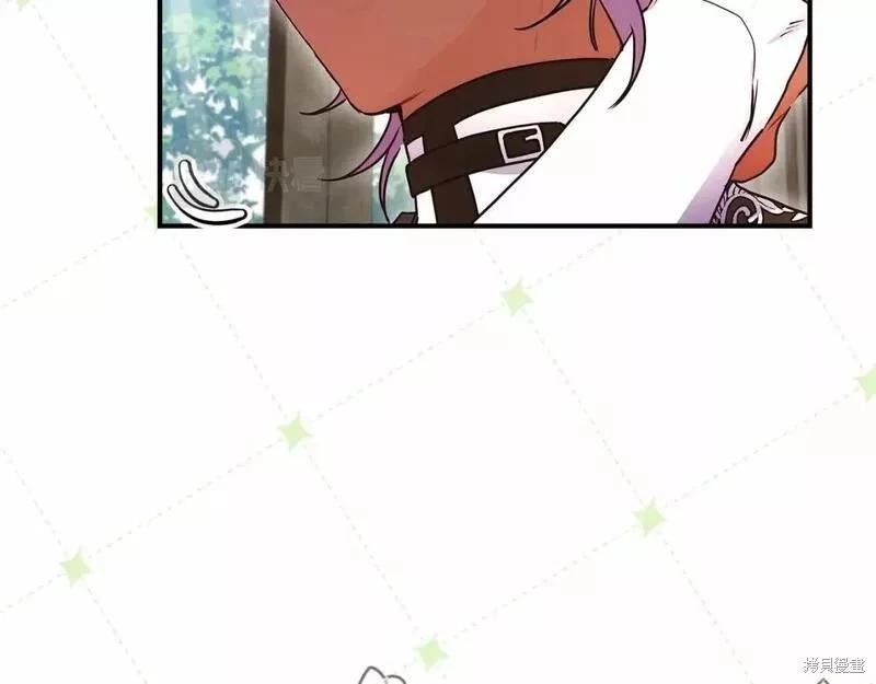 第 113 页