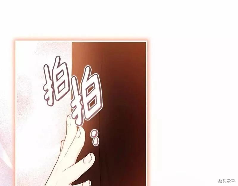 第 146 页