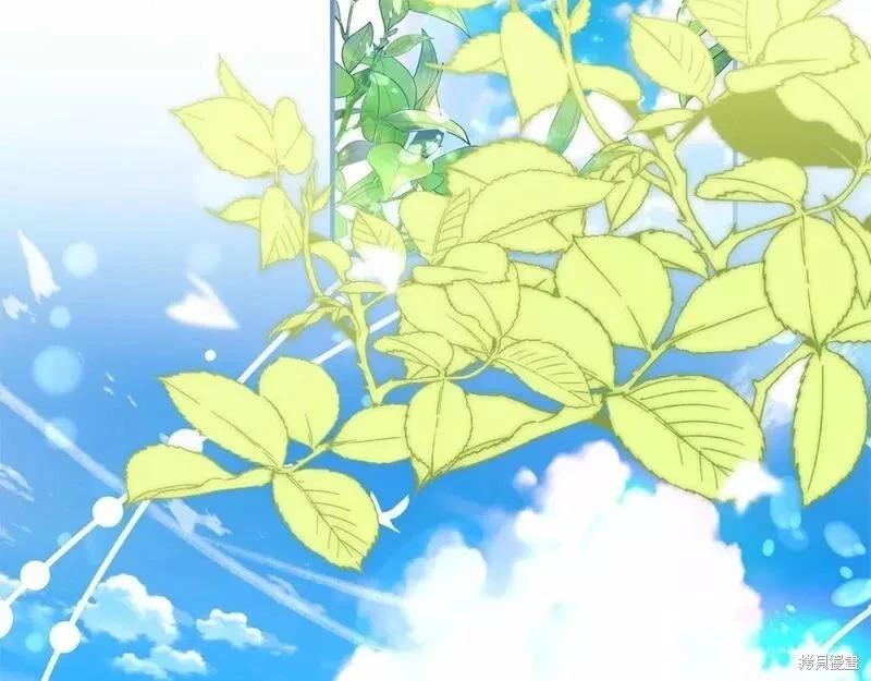 第 144 页