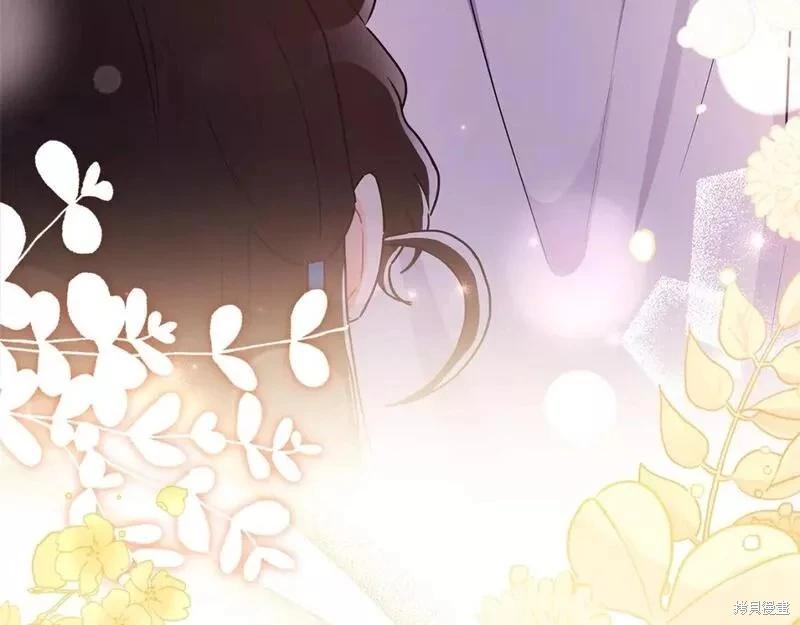 第 113 页