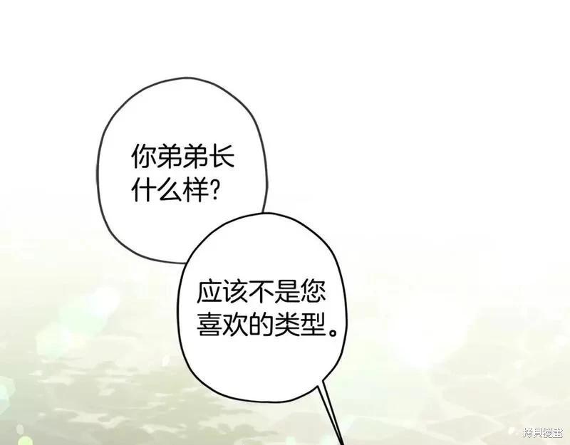 第 146 页
