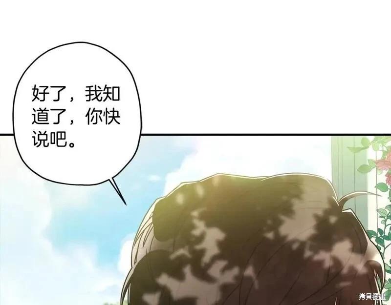第 102 页
