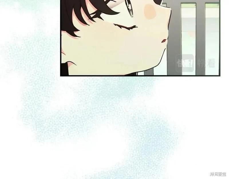 第 135 页
