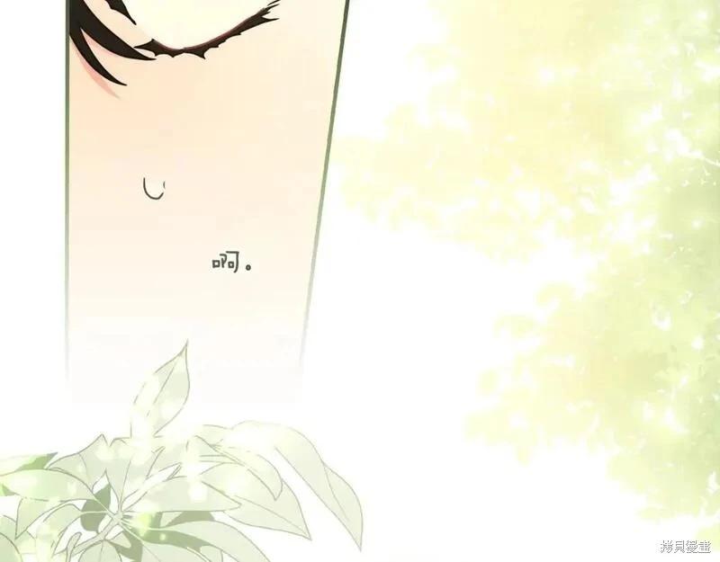 第 141 页