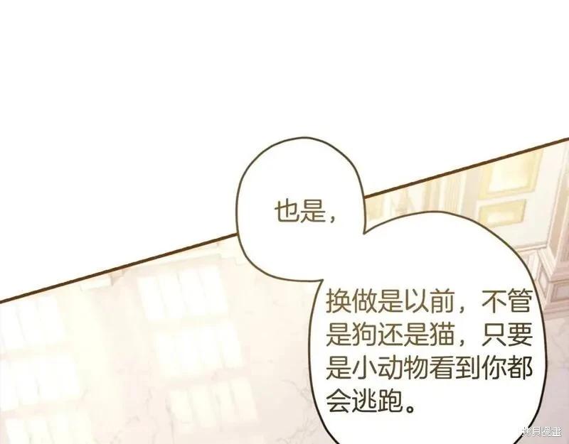 第 117 页